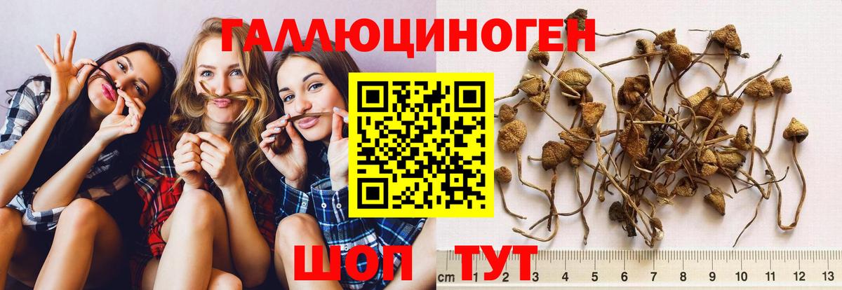 Галлюциногенные грибы мицелий  Галлюциногенные грибы GOLDEN TEACHER  Вход с VPN  Большой Камень 