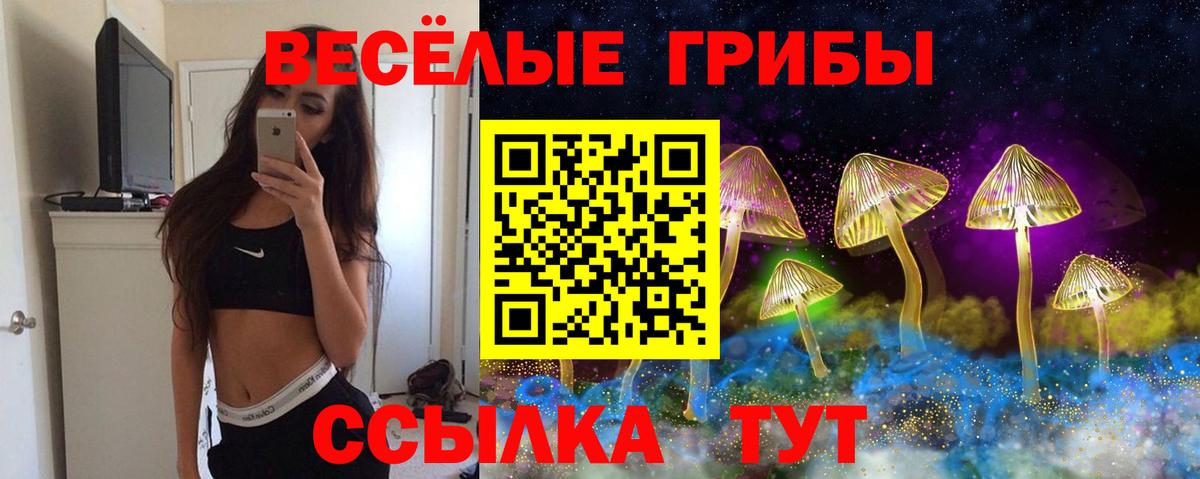 Галлюциногенные грибы Psilocybe Большой Камень